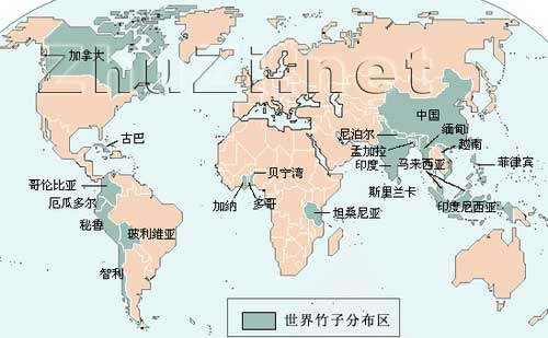 世界竹類(lèi)資源及分布